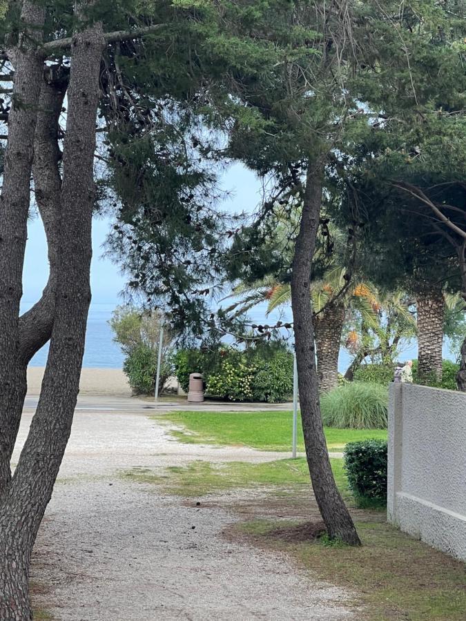 Grand F3 Vue Mer Centre Plage Proche Commerces Plage dʼArgelès المظهر الخارجي الصورة